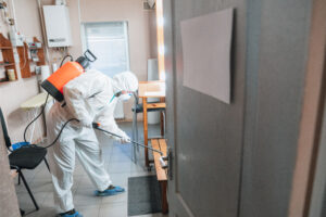 Mould Cleaning