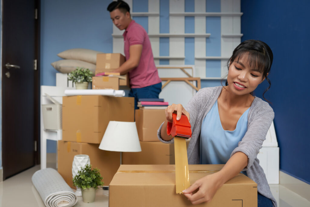 Move in Cleaning 2