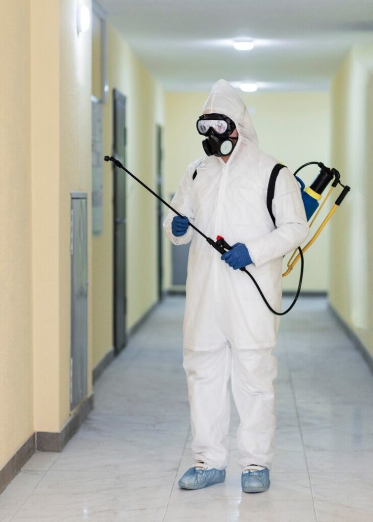 Mould Cleaning Services In Melbourne