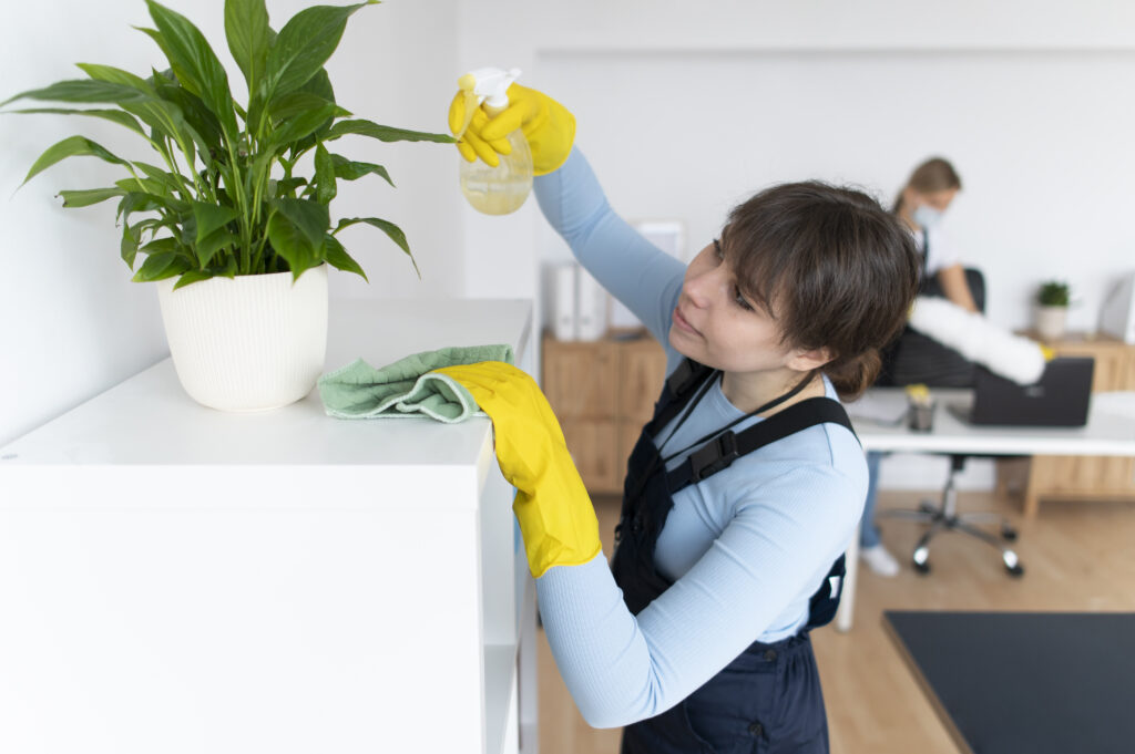 Spring Cleaning Services