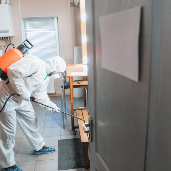 Mould Cleaning